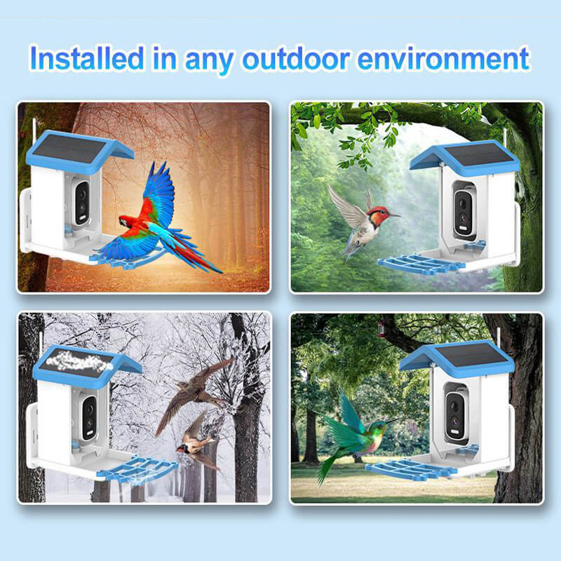 iToolMax Solar Smart Bird Feeder with Camera
