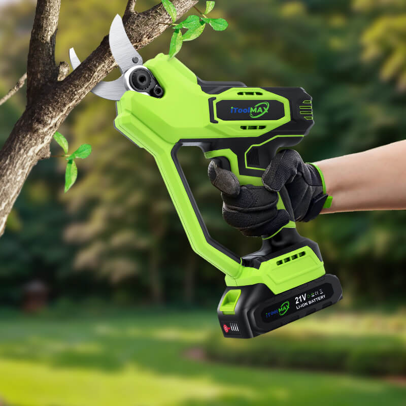 Thin and thick branches pruning