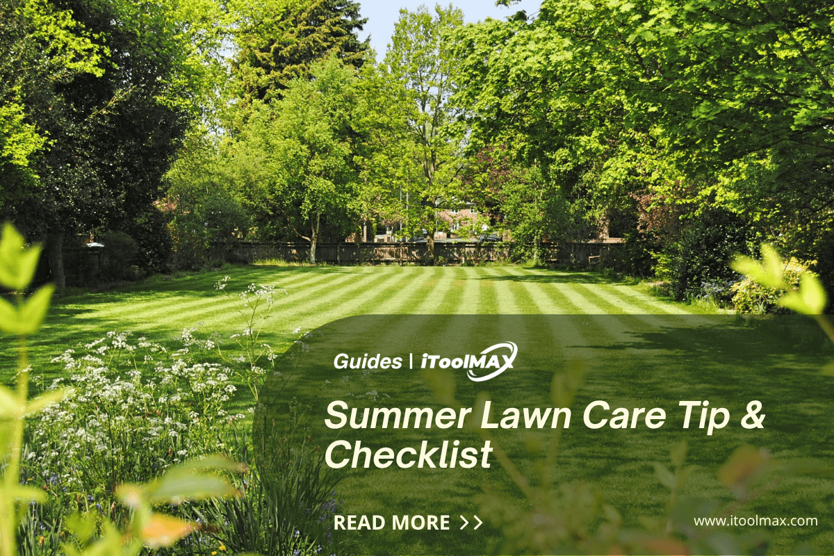 Summer Lawn Care Checklist: 5 Essential Tips Keep Your Lawn Green and Healthy