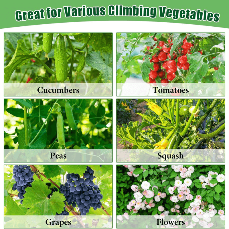 itoolmax garden cucumber trellis great for various vegetables