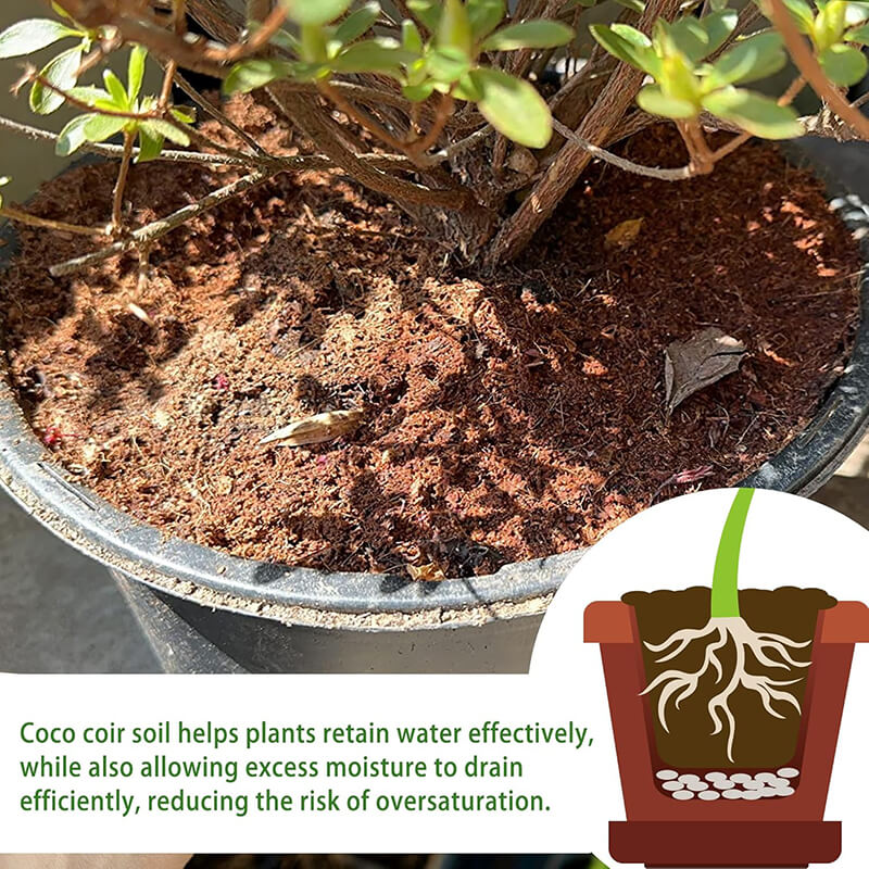 iToolMax Premium Organic Coconut Coir Bricks