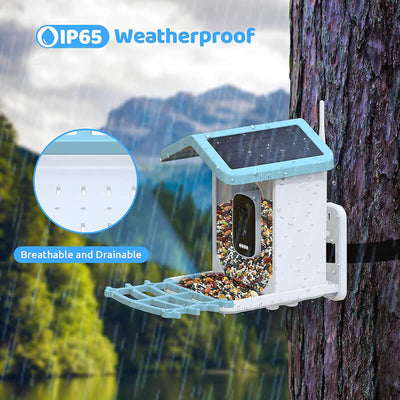 iToolMax Solar Smart Bird Feeder with Camera
