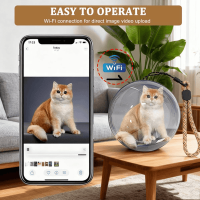 iToolMax 3D Crystal Ball Video Player Supports WiFi Easy to Operate