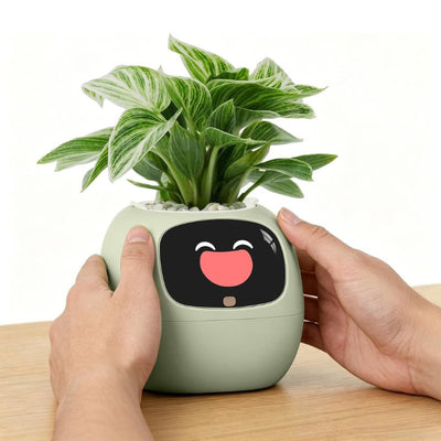 itoolmax smart plant pot with app remote control in desk