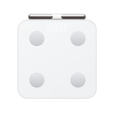 smart body fat and weight scale itoolmax