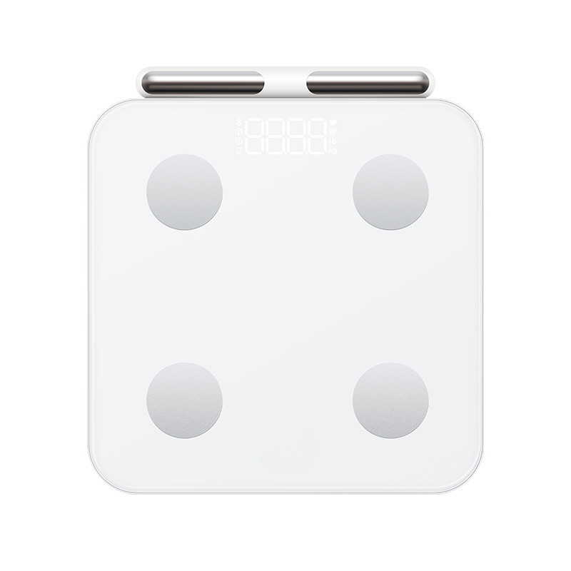 smart body fat and weight scale itoolmax